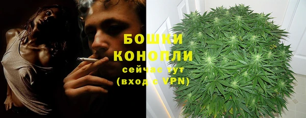 СК Богородицк