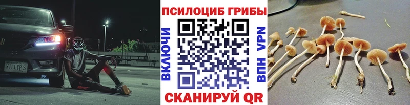 Галлюциногенные грибы прущие грибы mega tor Благовещенск